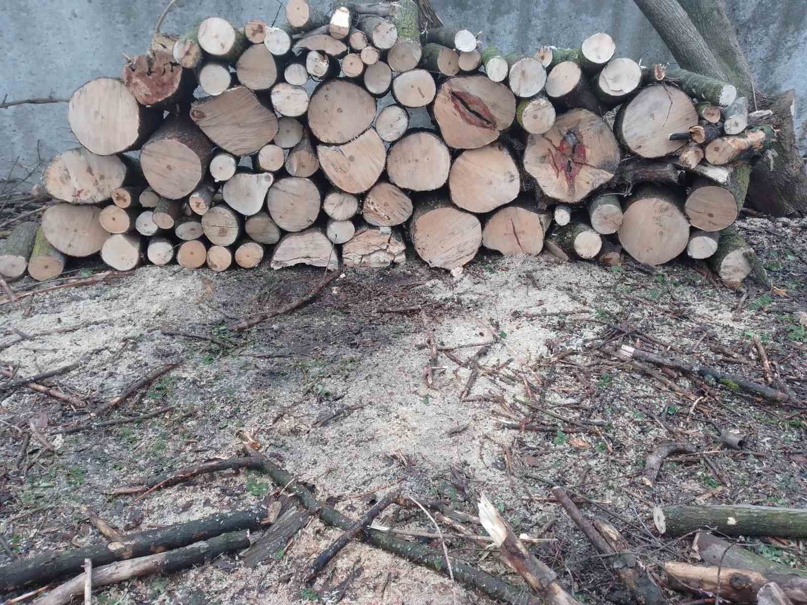 Продам дрова клёна