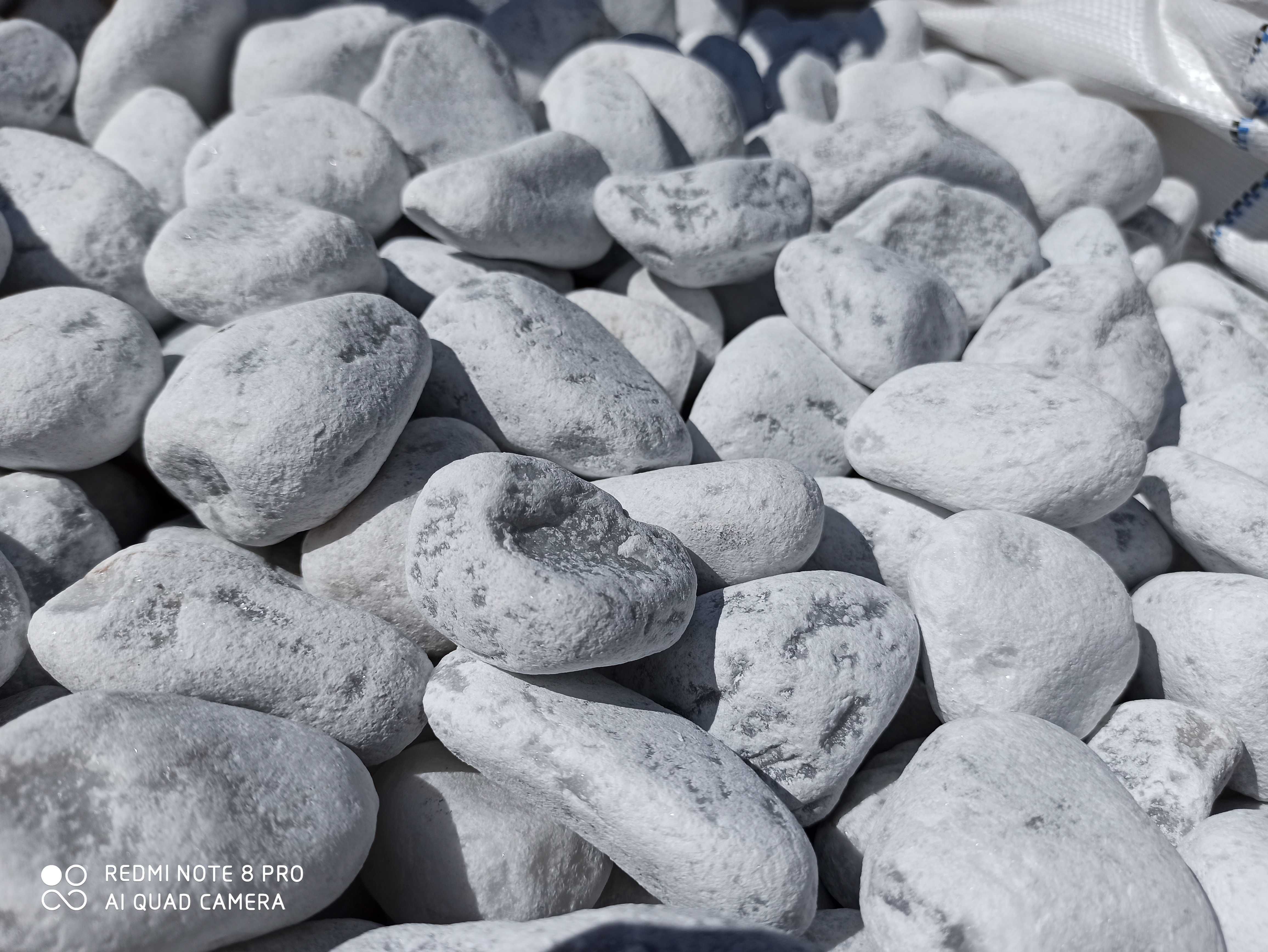 Grys Bianco kamień białoszary do ogrodu  kamyczek ozdobny szary biały