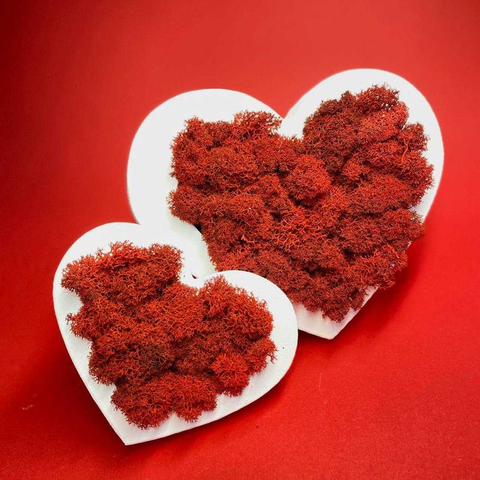 Деревянное сердце из стабилизированного мха.Декор из мха