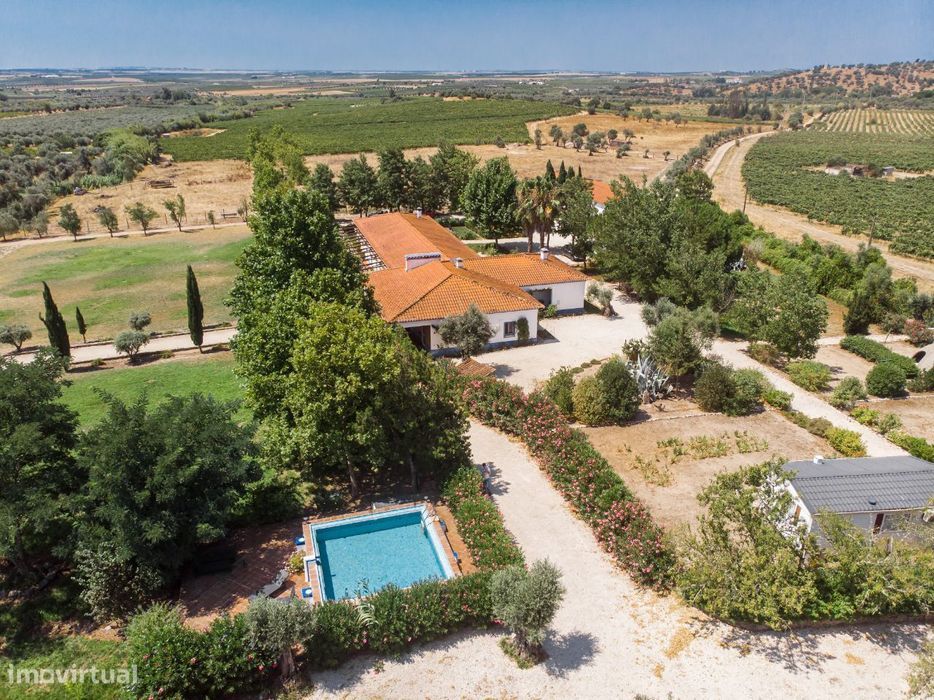 Quinta | Venda | ALENTEJO