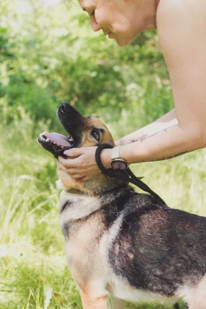 Aśka poleca się do adopcji