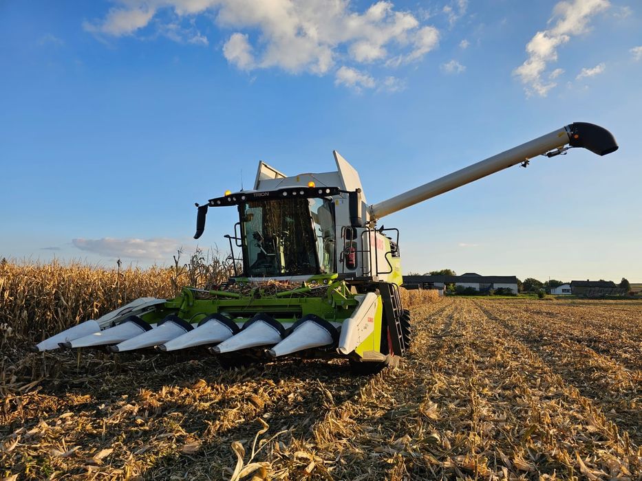 Zbiór Kukurydzy Claas Trion 640