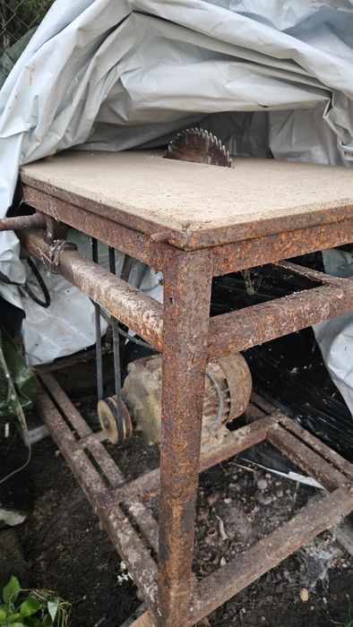 Piła stołowa Krajzego