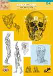 Anatomia dla artystów. Tom 4 Leonardo Compact Series. Koh-I-Noor