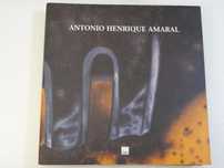 Obra Em Processo Antonio Henrique Amaral