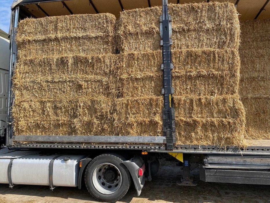 kostka 240x120x90  SŁOMA duża oraz siano