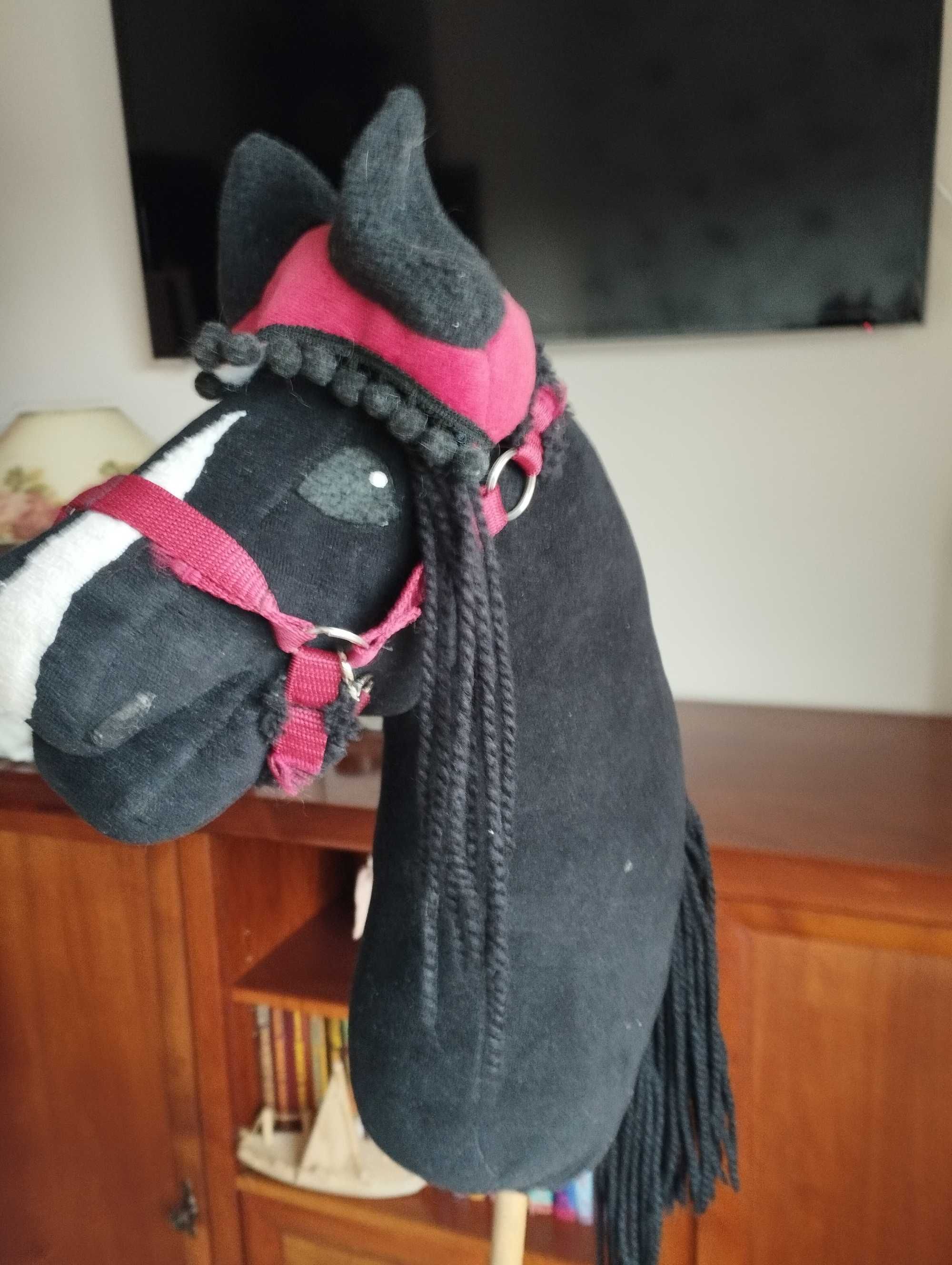 hobby horse  maści karej