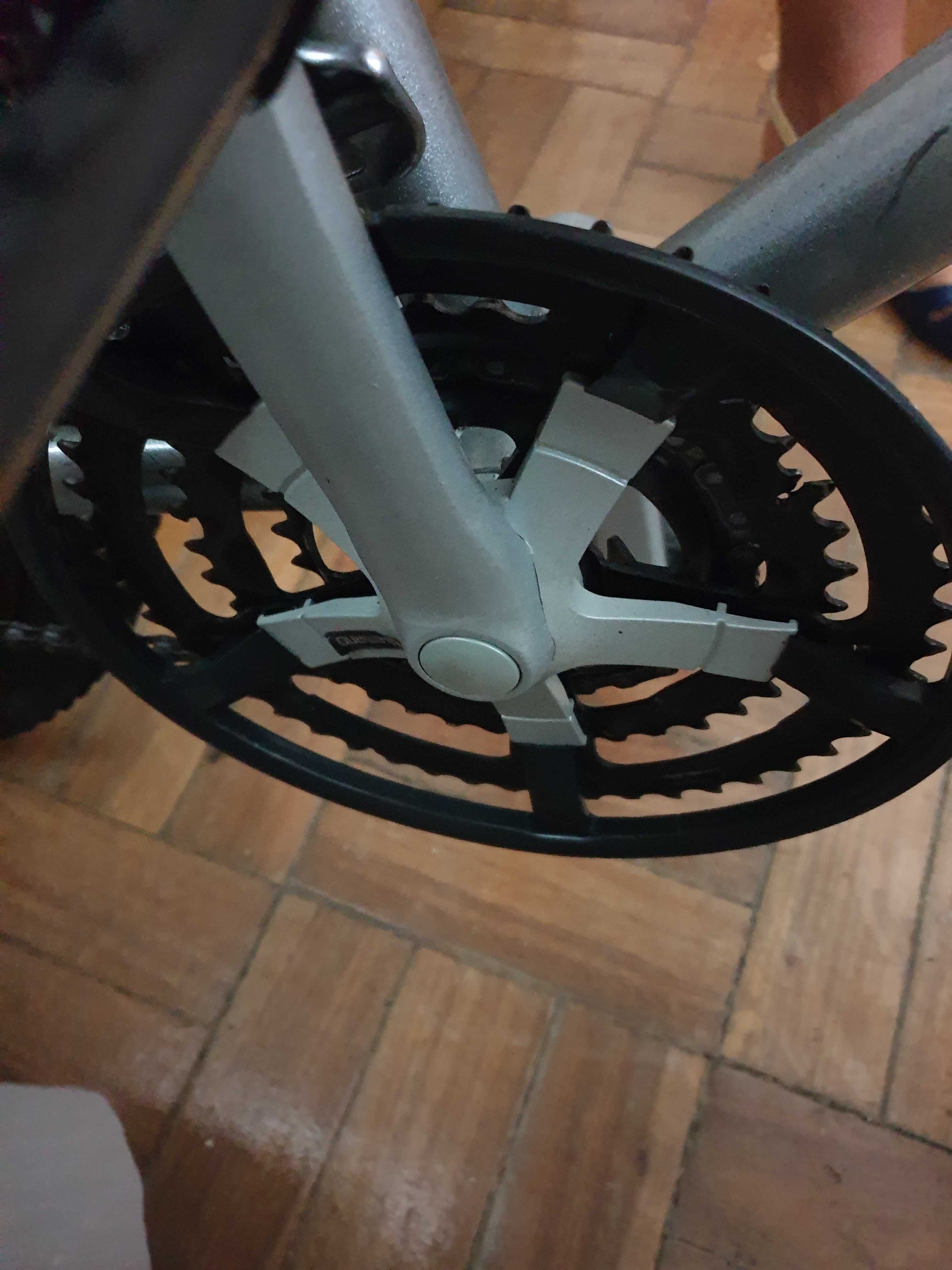 Bicicleta adulto