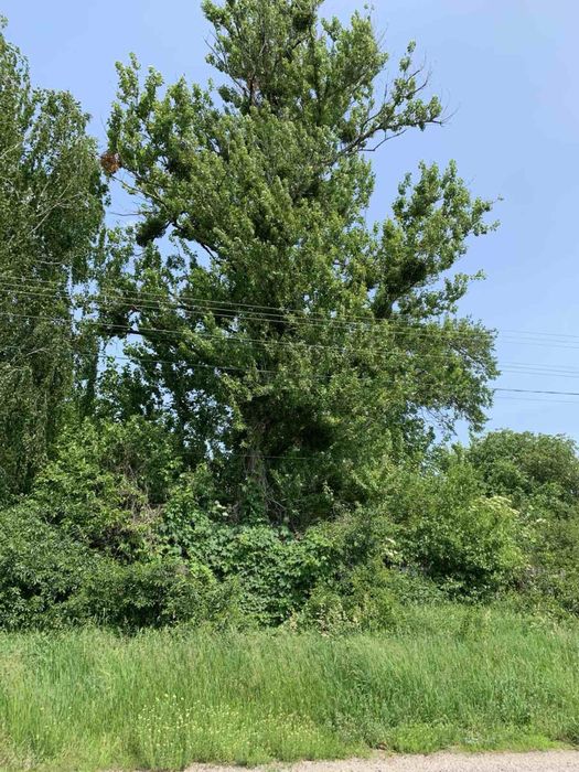 Вырезка -зачистка участков