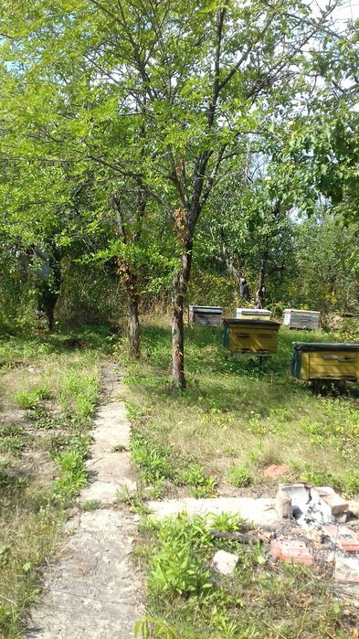 Продам дачу Сади Мичурина