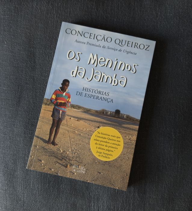 Os Meninos da Jamba de Conceição Queiroz