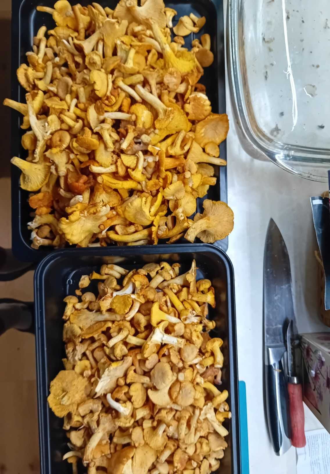 Grzyb Pieprznik jadalny Kurka suszona 100 gram