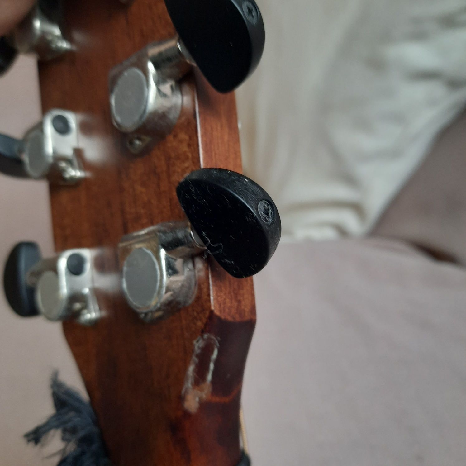 Gitara akustyczna Cort Earth 100F NS