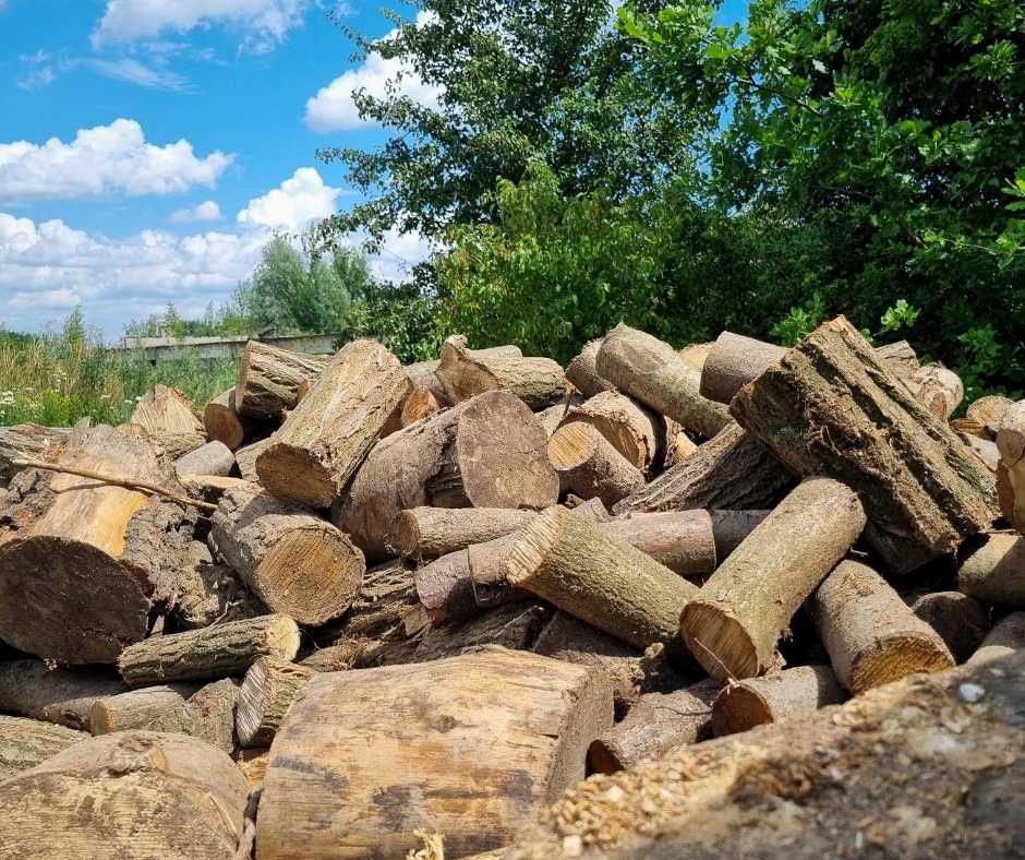 Suche drewno opałowe z Akacji, Sezonowane drewno kominkowe + dowóz