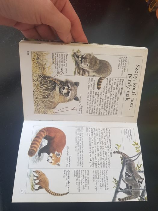 Philippe Dupont Mała Księga Zwierząt