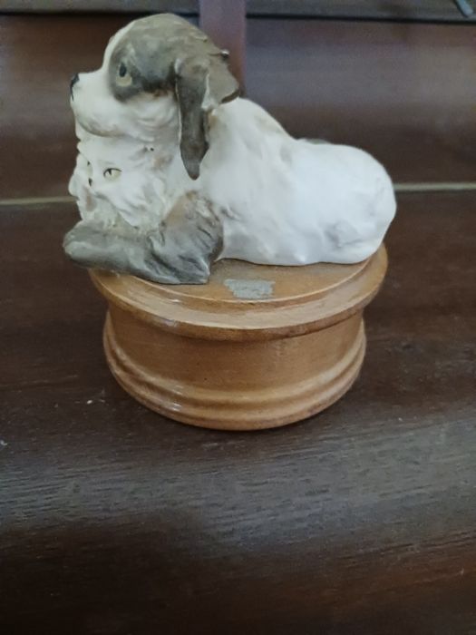 Um excelente  cão