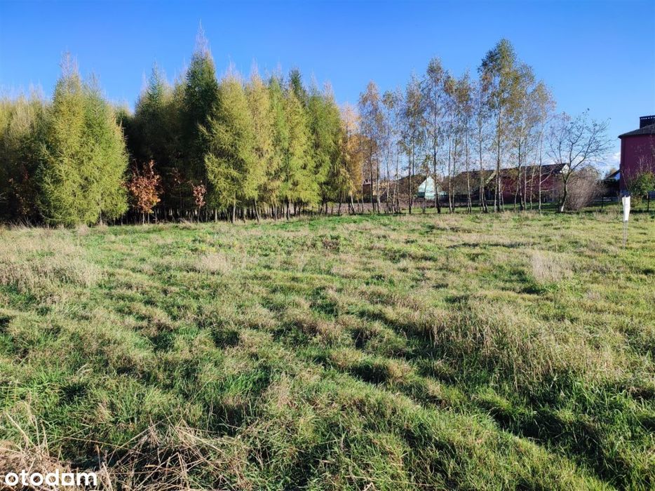 Działka budowlana pod lasem, Jawiszowice