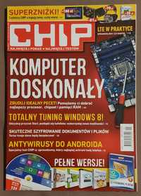 Chip - rocznik 2013