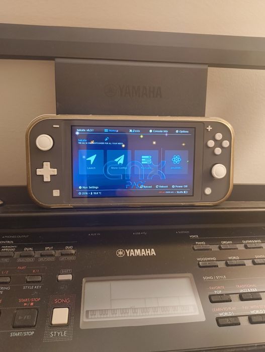 Nitendo Switch Lite Modchip 256Gb