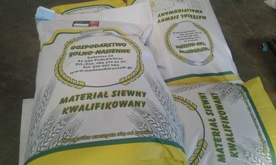Materiał Siewny Kwalifikowany Zbóż Jarych- Zaprawiony Wiosna 2024