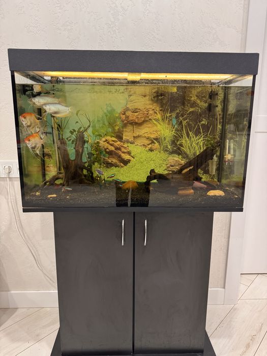 Акваріум з усім необхідним обладнанням