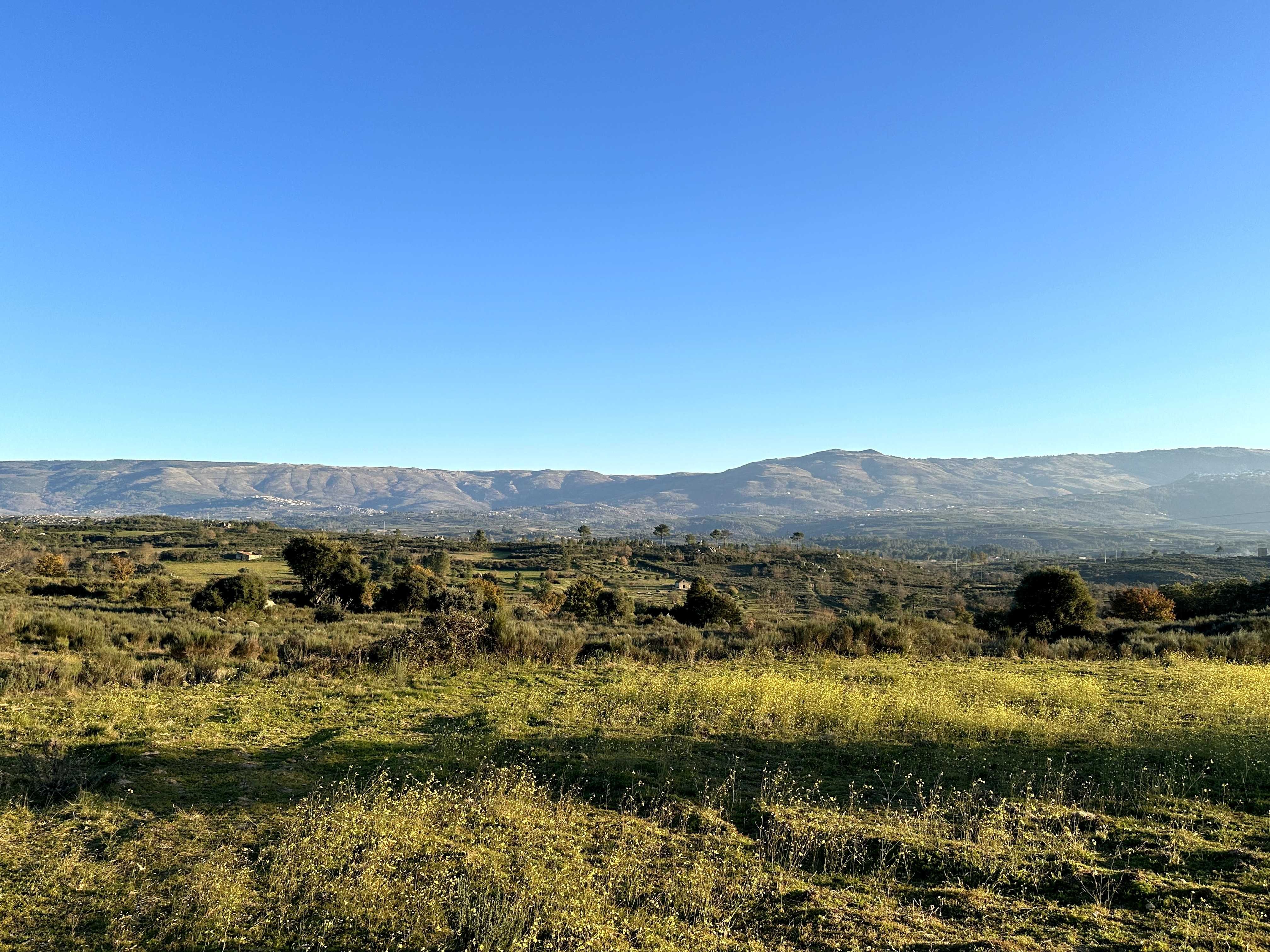 Refúgio de 9 Hectares com Vistas para a Serra da Estrela