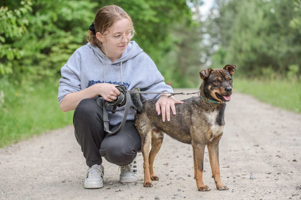 Nankin - nieduży młodziak szuka swojej rodziny