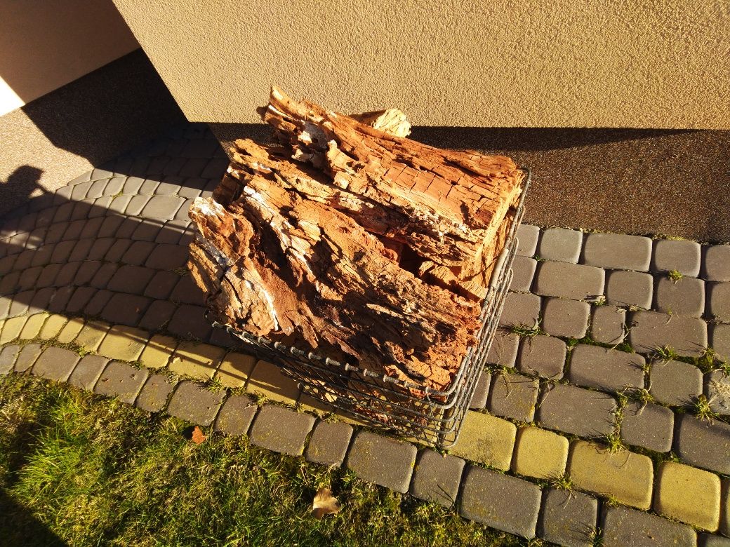 Próchno Pszczoły do dymienia z wierzby wysyłka