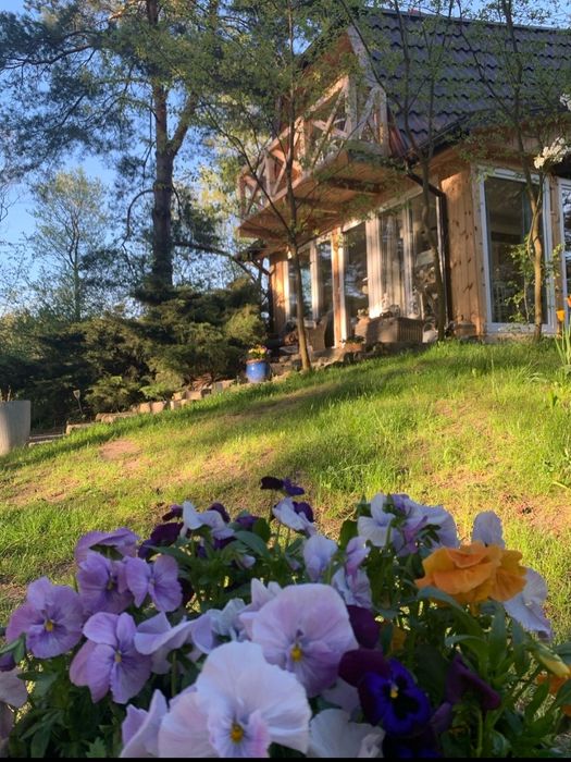 Domki na wynajem, święta, domki w lesie, nad rzeką,