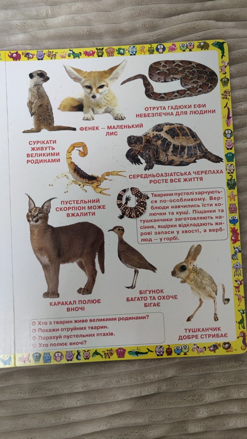 Перша книжка тварин для малюків