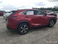 авторазборка лексус LEXUS NX 14-21 дверь радиатор бампер фонарь фара