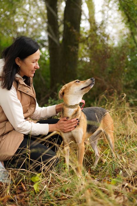 Собака шукає сімʼю в добрі руки