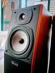Tannoy precision P20