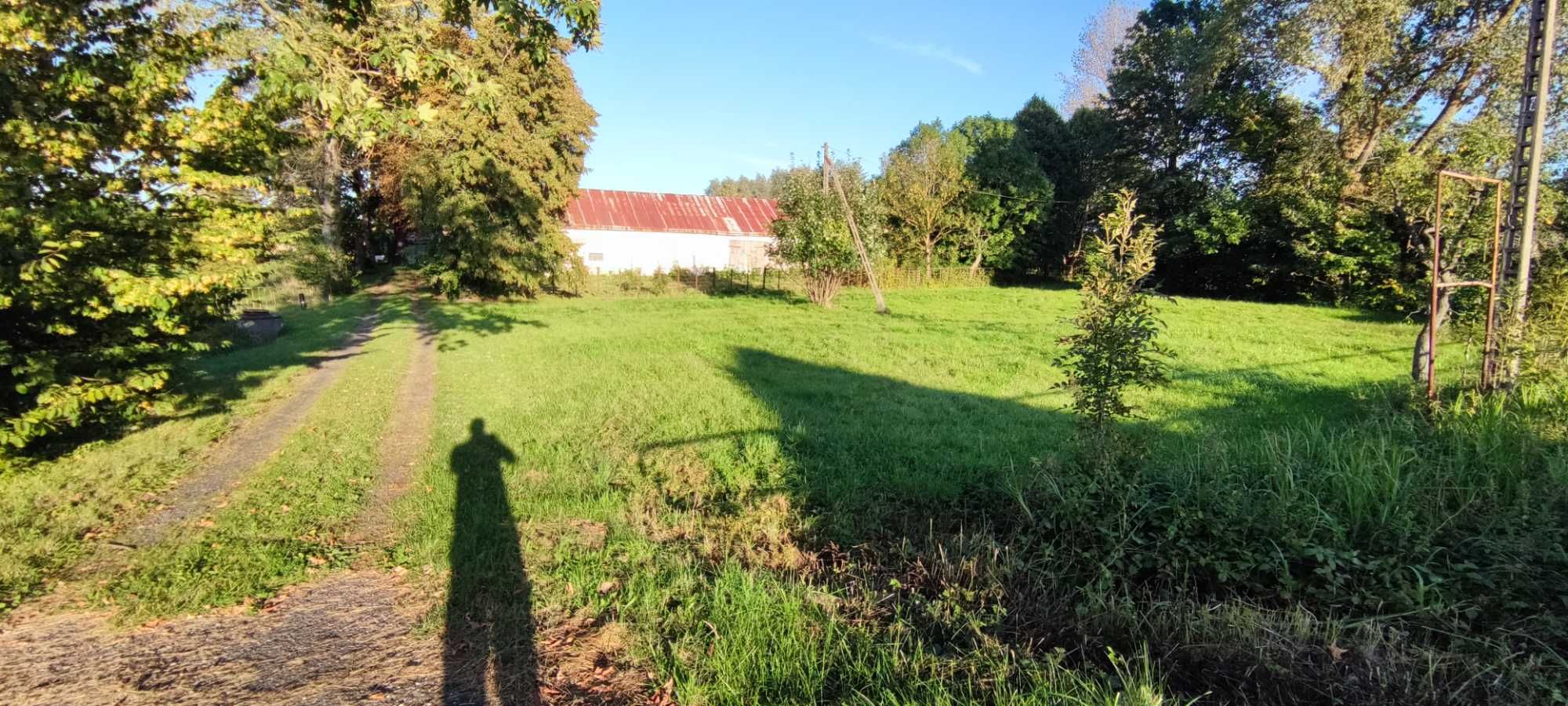 Dom na wsi, budynki gospodarcze, siedlisko