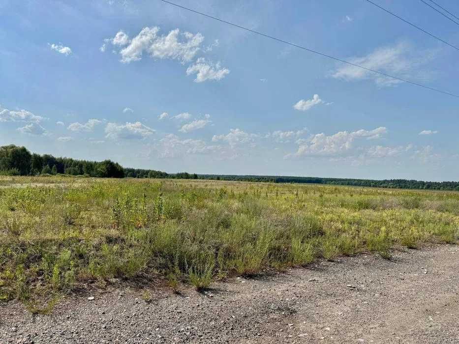Земля під ОСГ у Фасовій. 108гектарів 58$/сотка