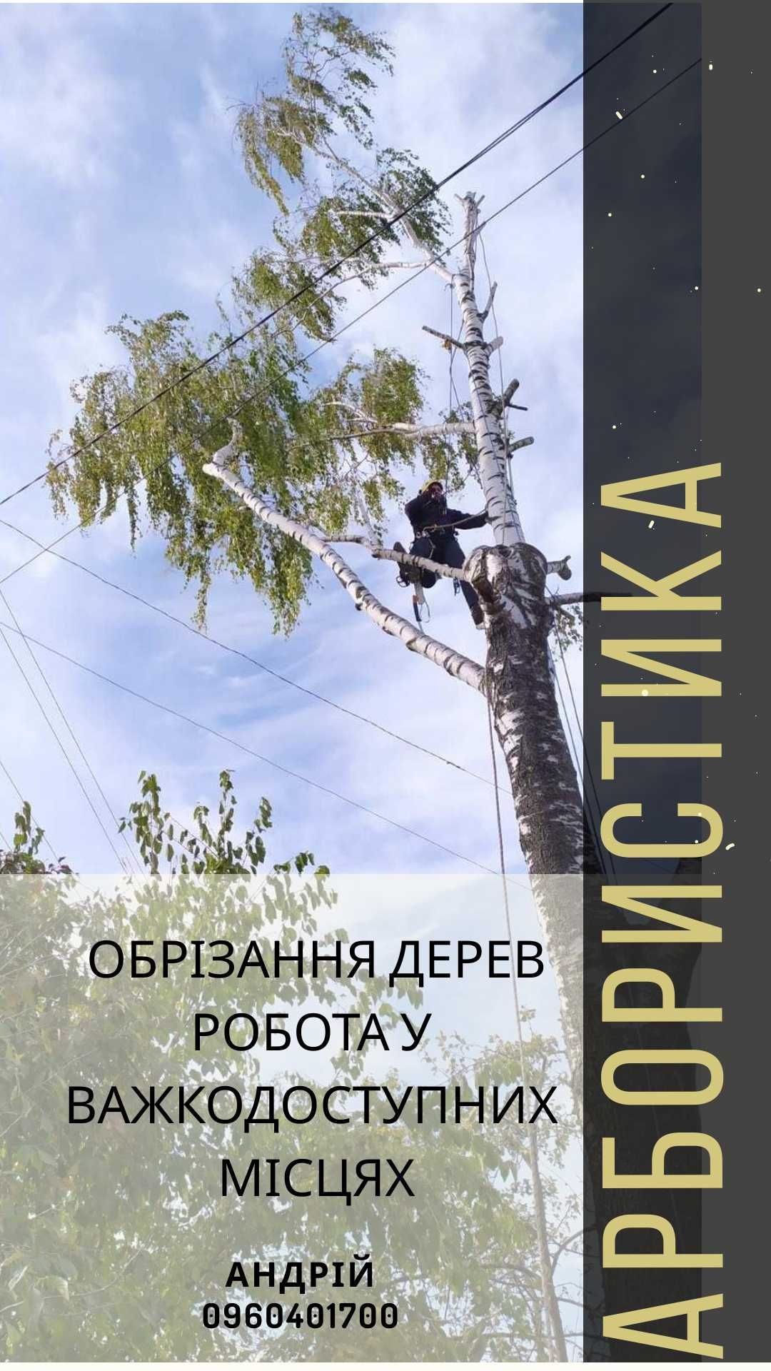 Обрізка дерев обрізання зрізка спил аварійних дерев, Буськ