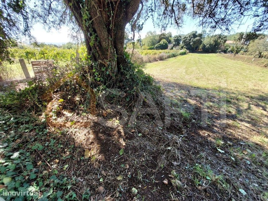 Terreno construtivo em Mazedo