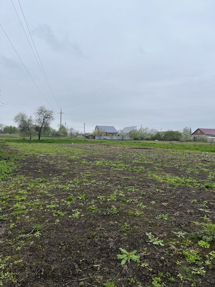 Здам в оренду земельну ділянку для посадки огороду ( 6 соток)