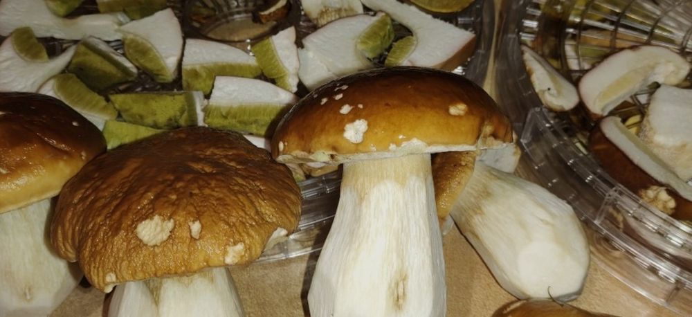 Borowiki prawdziwki zdrowe hermetycznie pakowane suszone 50 gram