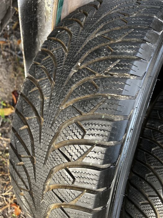 Rydanz Nordica NR01 225/60 R18 стан нової
