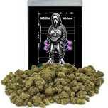 100 gram susz cbd white widow