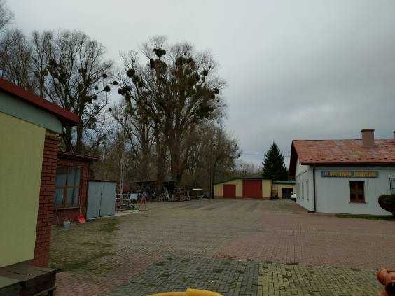 NIERUCHOMOŚĆ gruntowa z budynkami