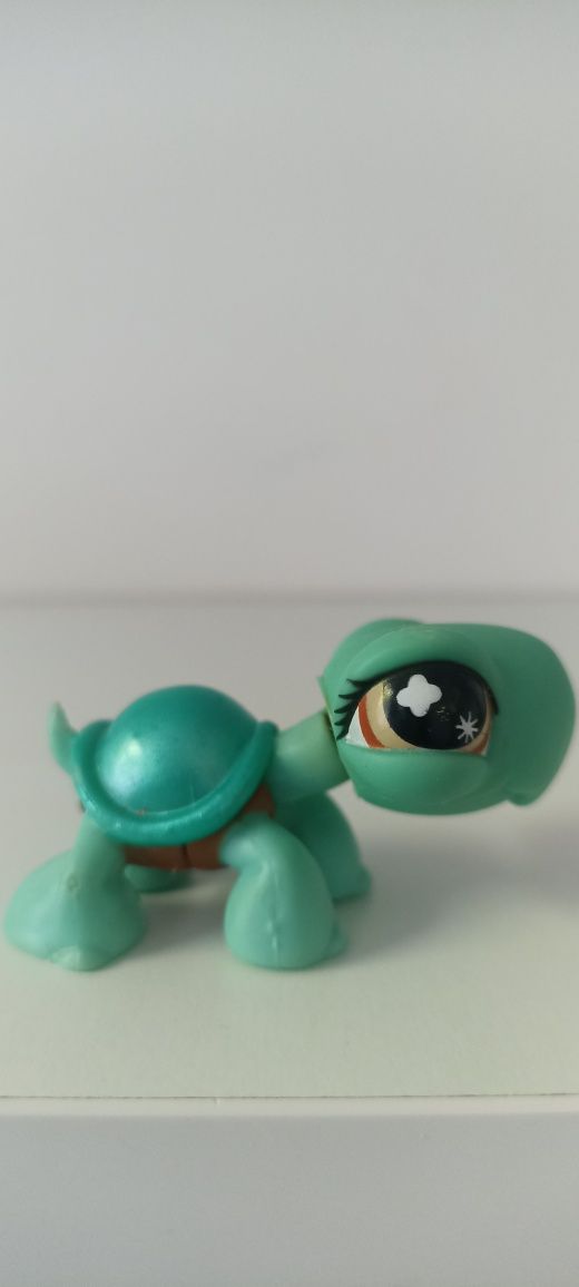 Żółwik LPS, littlest pet shop