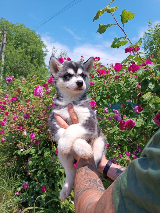 Красивий мужній хлопчик