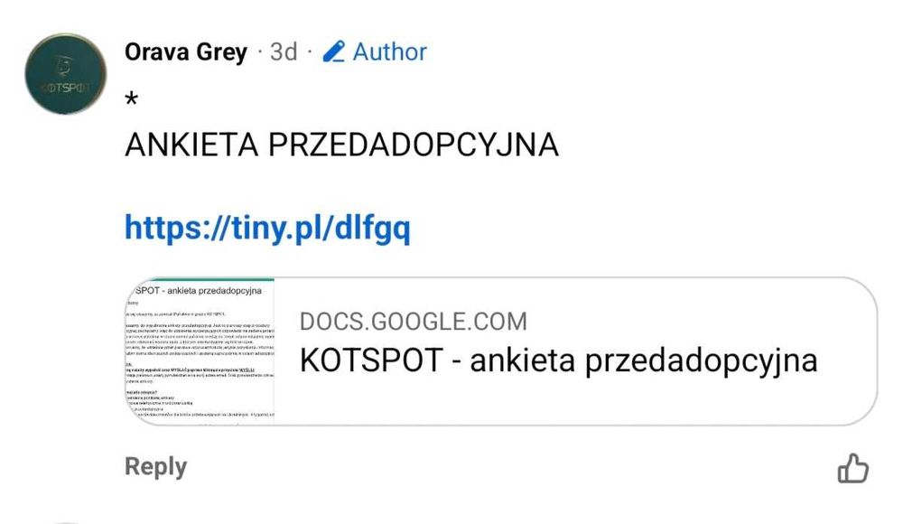 Koty w typie rasy syberyjskiej do adopcji