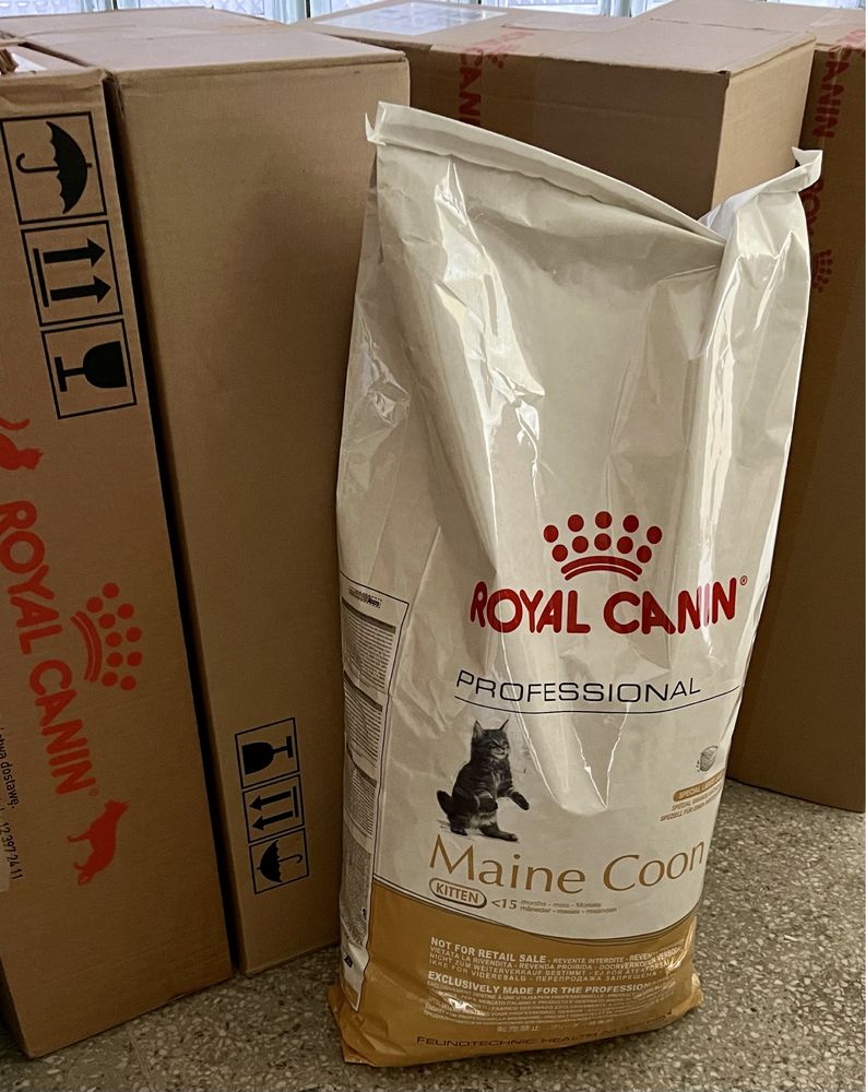 RC Maine Coon 4kg / Worek‼️ Kitten • Adult mix inne Bri ℹ️ RoyalCanin