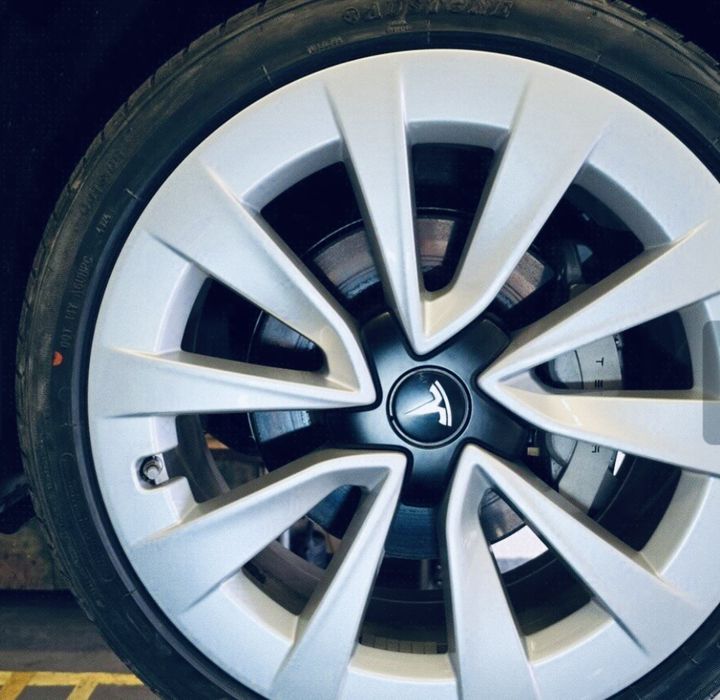 TESLA MODEL 3 STANDART RANGE PLUS  BRANCO PÉROLA