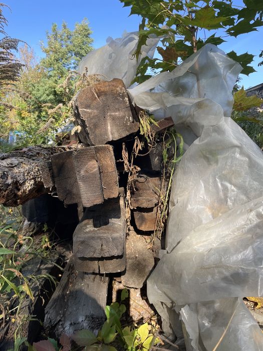 Stare drewno porozbiorowe