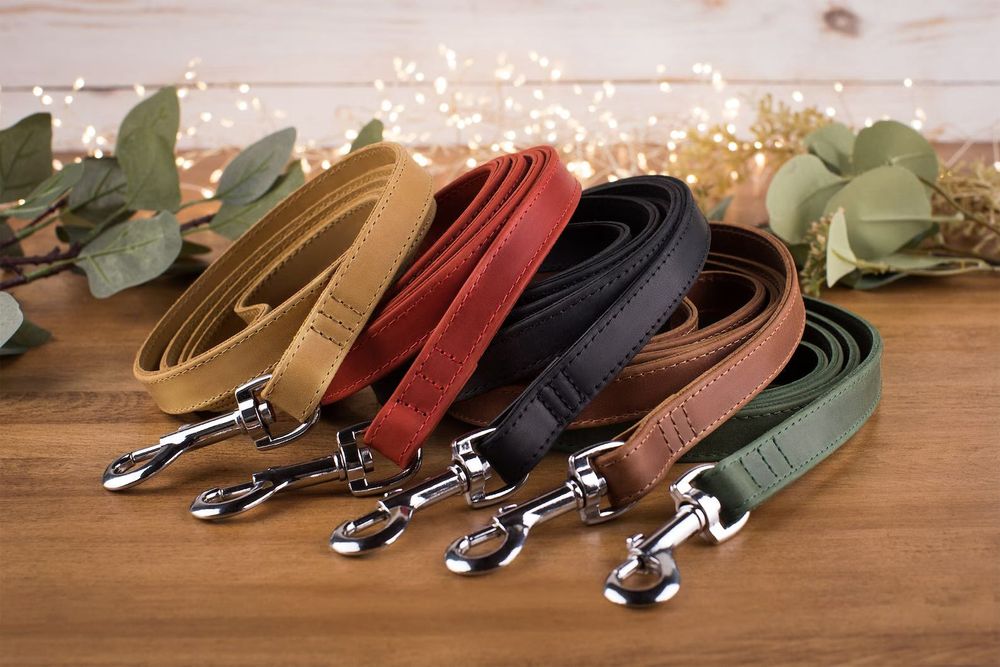 Поводок и Ошейник для Собак Кота Кошек ШкірянийCrazy Гравіювання Акція