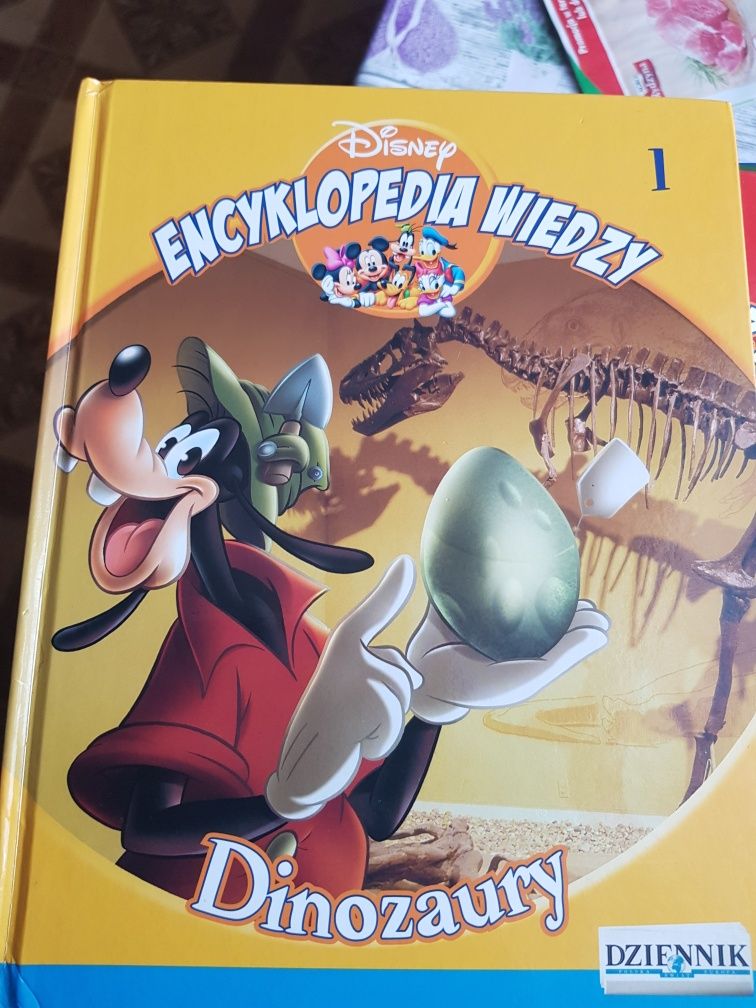 Encyklopedia wiedzy Disney 22 szt